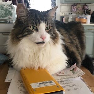 Meet your Posher, Leithia